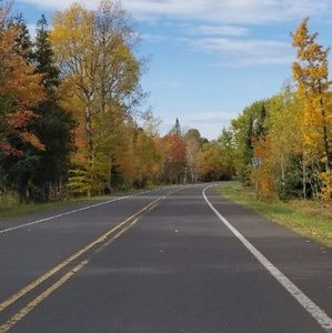 Meet your Posher, Natasha